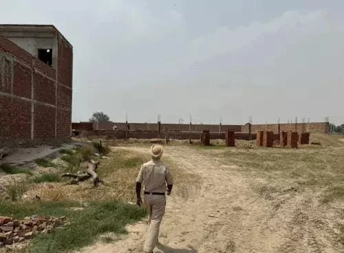IMG